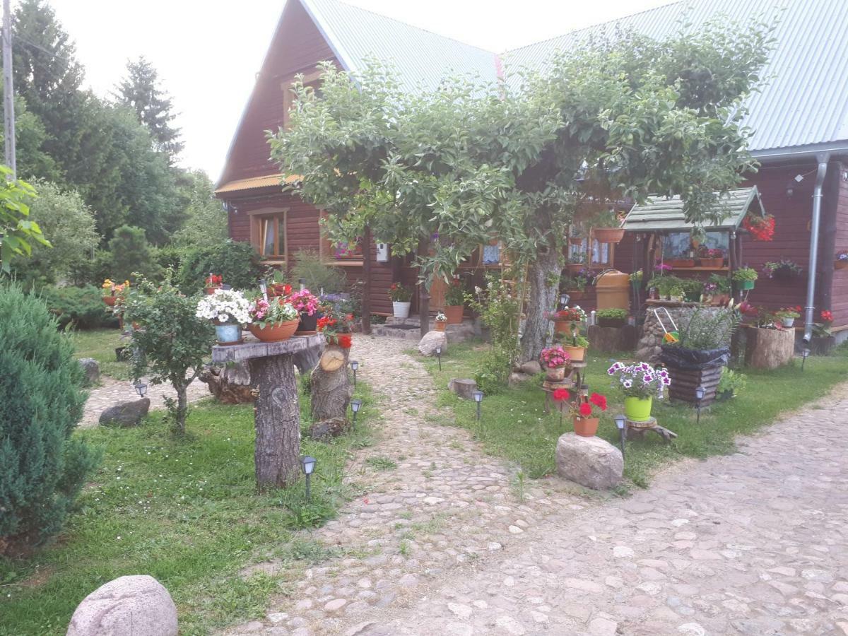 Olsik Leilighet Białowieża Eksteriør bilde
